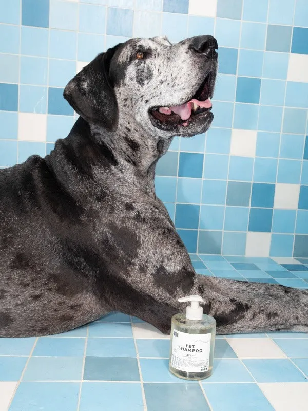 Pet Shampoo: 01 Taunt 18.6 oz.