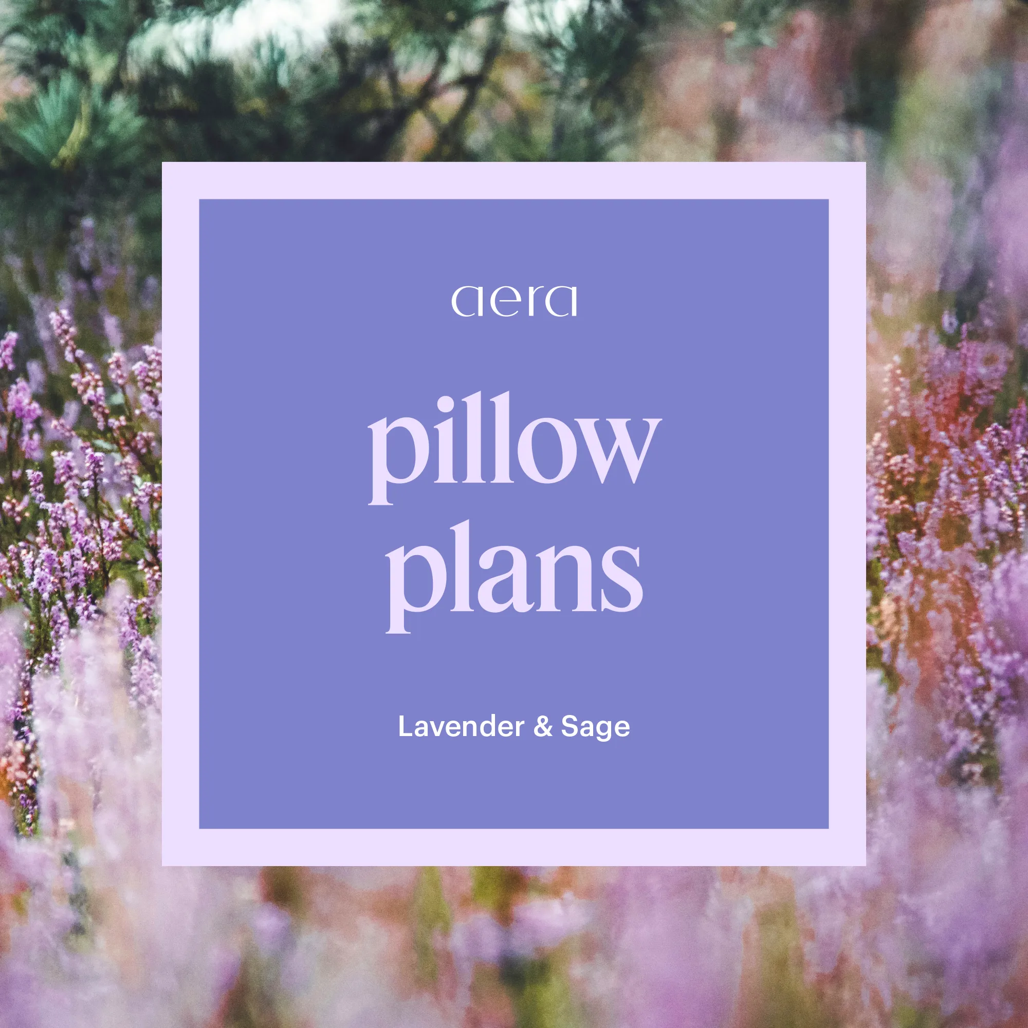 Pillow Plans Mini